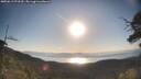 ./images/calvert/fitz-hugh-hecate/20250613/fitz-hugh-hecate20250613_073510M.jpg