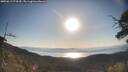 ./images/calvert/fitz-hugh-hecate/20250613/fitz-hugh-hecate20250613_074510M.jpg