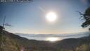 ./images/calvert/fitz-hugh-hecate/20250613/fitz-hugh-hecate20250613_075009M.jpg
