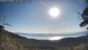 ./images/calvert/fitz-hugh-hecate/20250613/fitz-hugh-hecate20250613_082008M.jpg