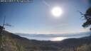 ./images/calvert/fitz-hugh-hecate/20250613/fitz-hugh-hecate20250613_082509M.jpg
