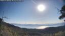 ./images/calvert/fitz-hugh-hecate/20250613/fitz-hugh-hecate20250613_083010M.jpg