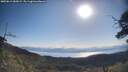 ./images/calvert/fitz-hugh-hecate/20250613/fitz-hugh-hecate20250613_085009M.jpg