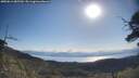 ./images/calvert/fitz-hugh-hecate/20250613/fitz-hugh-hecate20250613_085510M.jpg
