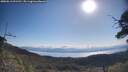 ./images/calvert/fitz-hugh-hecate/20250613/fitz-hugh-hecate20250613_091510M.jpg