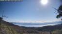 ./images/calvert/fitz-hugh-hecate/20250613/fitz-hugh-hecate20250613_093012M.jpg