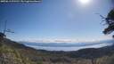 ./images/calvert/fitz-hugh-hecate/20250613/fitz-hugh-hecate20250613_095510M.jpg