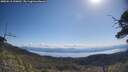 ./images/calvert/fitz-hugh-hecate/20250613/fitz-hugh-hecate20250613_100012M.jpg
