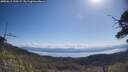 ./images/calvert/fitz-hugh-hecate/20250613/fitz-hugh-hecate20250613_100509M.jpg