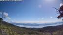 ./images/calvert/fitz-hugh-hecate/20250613/fitz-hugh-hecate20250613_103509M.jpg