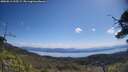 ./images/calvert/fitz-hugh-hecate/20250613/fitz-hugh-hecate20250613_105509M.jpg