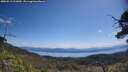 ./images/calvert/fitz-hugh-hecate/20250613/fitz-hugh-hecate20250613_111010M.jpg