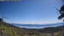 ./images/calvert/fitz-hugh-hecate/20250613/fitz-hugh-hecate20250613_111509M.jpg