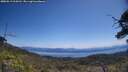 ./images/calvert/fitz-hugh-hecate/20250613/fitz-hugh-hecate20250613_114510M.jpg