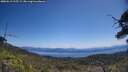 ./images/calvert/fitz-hugh-hecate/20250613/fitz-hugh-hecate20250613_115508M.jpg