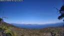 ./images/calvert/fitz-hugh-hecate/20250613/fitz-hugh-hecate20250613_152009M.jpg