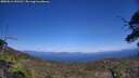 ./images/calvert/fitz-hugh-hecate/20250613/fitz-hugh-hecate20250613_152510M.jpg
