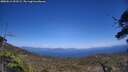 ./images/calvert/fitz-hugh-hecate/20250613/fitz-hugh-hecate20250613_153509M.jpg