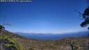 ./images/calvert/fitz-hugh-hecate/20250613/fitz-hugh-hecate20250613_154007M.jpg