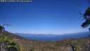 ./images/calvert/fitz-hugh-hecate/20250613/fitz-hugh-hecate20250613_161010M.jpg