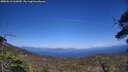 ./images/calvert/fitz-hugh-hecate/20250613/fitz-hugh-hecate20250613_162010M.jpg