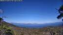 ./images/calvert/fitz-hugh-hecate/20250613/fitz-hugh-hecate20250613_163508M.jpg