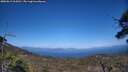 ./images/calvert/fitz-hugh-hecate/20250613/fitz-hugh-hecate20250613_164510M.jpg