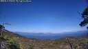 ./images/calvert/fitz-hugh-hecate/20250613/fitz-hugh-hecate20250613_170012M.jpg