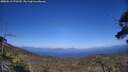 ./images/calvert/fitz-hugh-hecate/20250613/fitz-hugh-hecate20250613_170510M.jpg