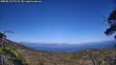 ./images/calvert/fitz-hugh-hecate/20250613/fitz-hugh-hecate20250613_171508M.jpg