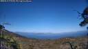 ./images/calvert/fitz-hugh-hecate/20250613/fitz-hugh-hecate20250613_175510M.jpg