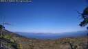 ./images/calvert/fitz-hugh-hecate/20250613/fitz-hugh-hecate20250613_180012M.jpg
