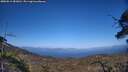 ./images/calvert/fitz-hugh-hecate/20250613/fitz-hugh-hecate20250613_181010M.jpg