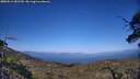 ./images/calvert/fitz-hugh-hecate/20250613/fitz-hugh-hecate20250613_182510M.jpg