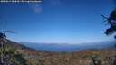 ./images/calvert/fitz-hugh-hecate/20250613/fitz-hugh-hecate20250613_184010M.jpg