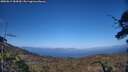 ./images/calvert/fitz-hugh-hecate/20250613/fitz-hugh-hecate20250613_184510M.jpg