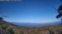 ./images/calvert/fitz-hugh-hecate/20250613/fitz-hugh-hecate20250613_185009M.jpg