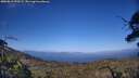 ./images/calvert/fitz-hugh-hecate/20250613/fitz-hugh-hecate20250613_190509M.jpg