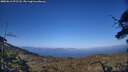 ./images/calvert/fitz-hugh-hecate/20250613/fitz-hugh-hecate20250613_191508M.jpg