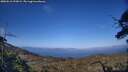 ./images/calvert/fitz-hugh-hecate/20250613/fitz-hugh-hecate20250613_192009M.jpg