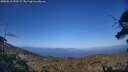 ./images/calvert/fitz-hugh-hecate/20250613/fitz-hugh-hecate20250613_192509M.jpg