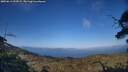 ./images/calvert/fitz-hugh-hecate/20250613/fitz-hugh-hecate20250613_193508M.jpg