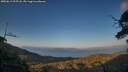 ./images/calvert/fitz-hugh-hecate/20250613/fitz-hugh-hecate20250613_205508M.jpg