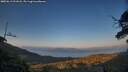 ./images/calvert/fitz-hugh-hecate/20250613/fitz-hugh-hecate20250613_211008M.jpg