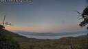 ./images/calvert/fitz-hugh-hecate/20250613/fitz-hugh-hecate20250613_215508M.jpg