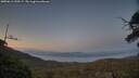 ./images/calvert/fitz-hugh-hecate/20250613/fitz-hugh-hecate20250613_220508M.jpg