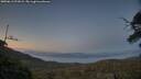 ./images/calvert/fitz-hugh-hecate/20250613/fitz-hugh-hecate20250613_221009M.jpg