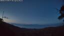 ./images/calvert/fitz-hugh-hecate/20250613/fitz-hugh-hecate20250613_224507M.jpg