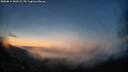 ./images/calvert/fitz-hugh-hecate/20250614/fitz-hugh-hecate20250614_043509M.jpg