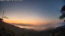 ./images/calvert/fitz-hugh-hecate/20250614/fitz-hugh-hecate20250614_045007M.jpg